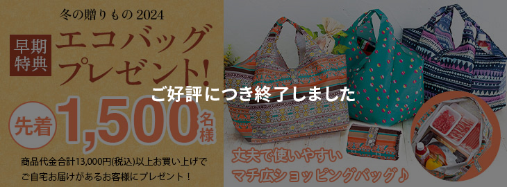 【先着1,500名様限定】なくなり次第終了